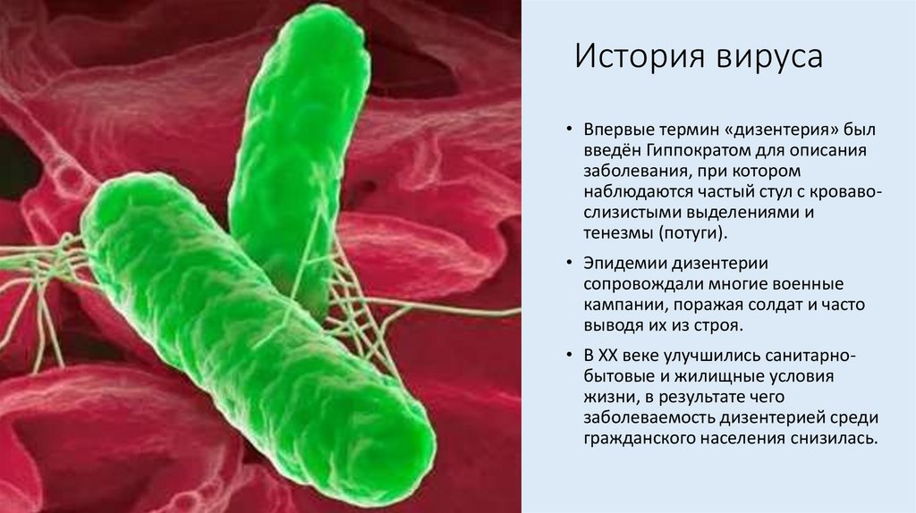 История вируса