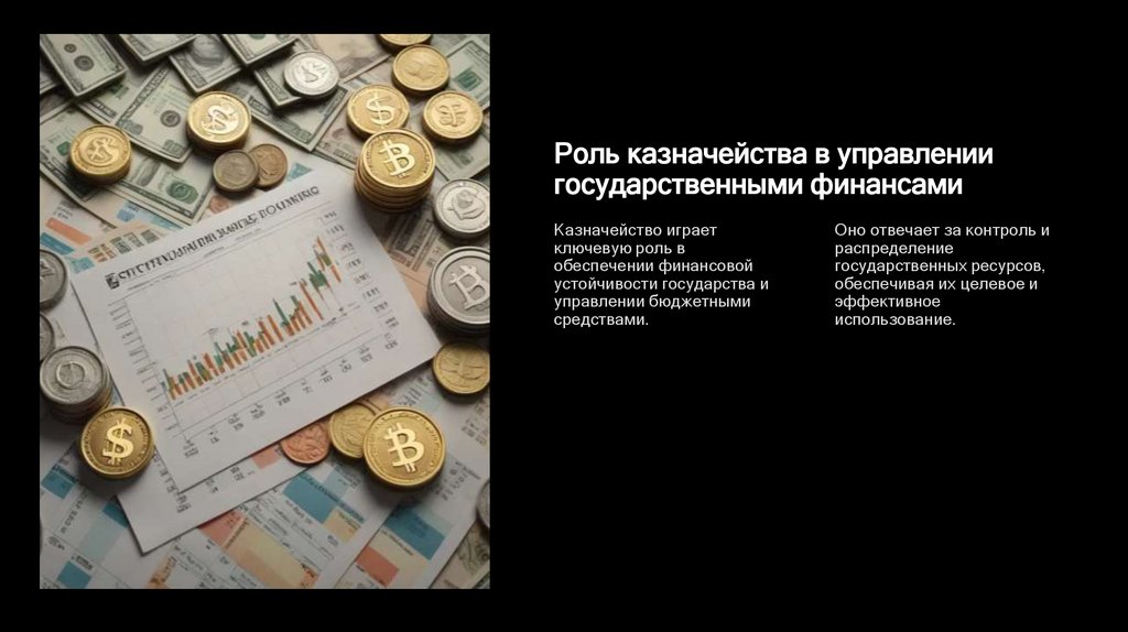 Роль казначейства в управлении государственными финансами