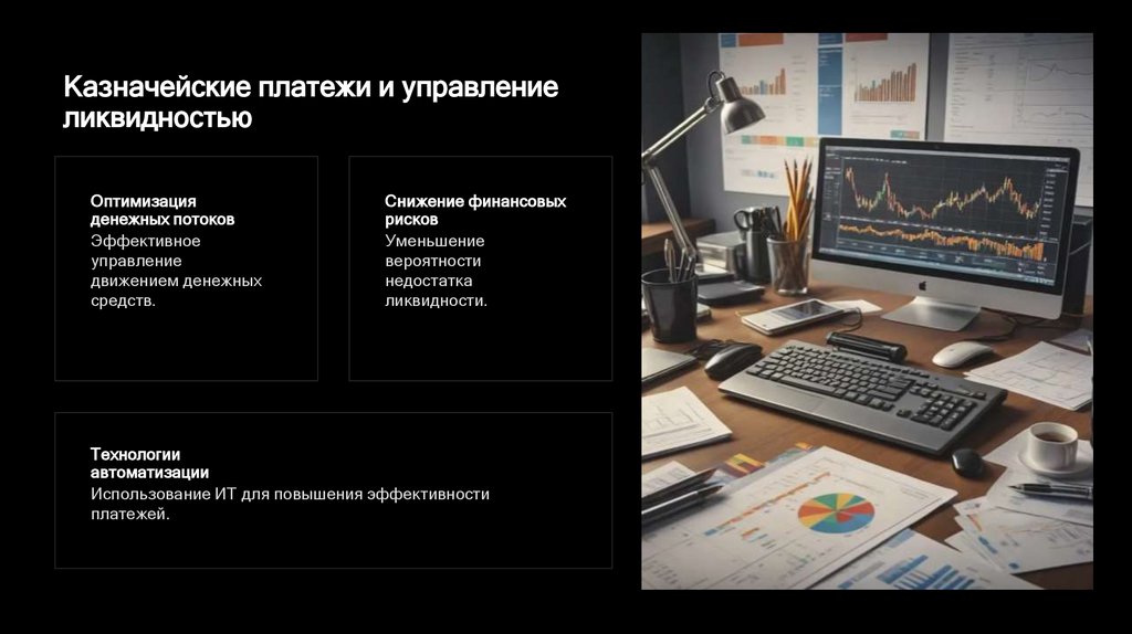 Казначейские платежи и управление ликвидностью