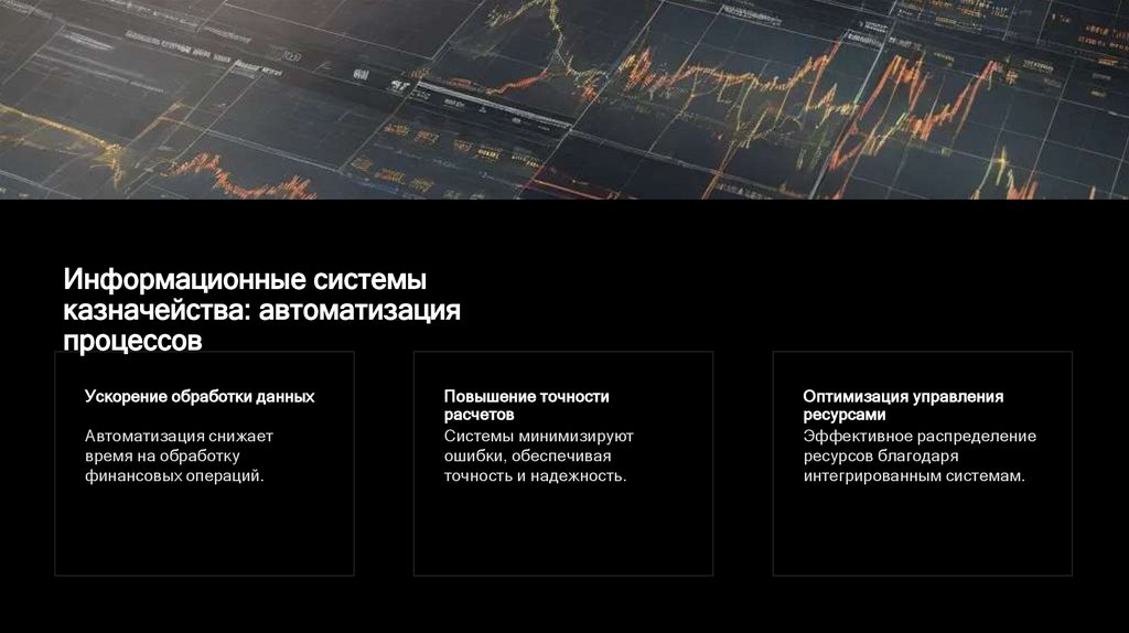 Информационные системы казначейства: автоматизация процессов
