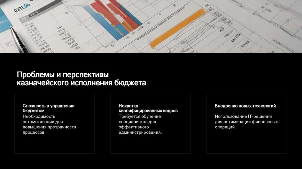 Проблемы и перспективы казначейского исполнения бюджета