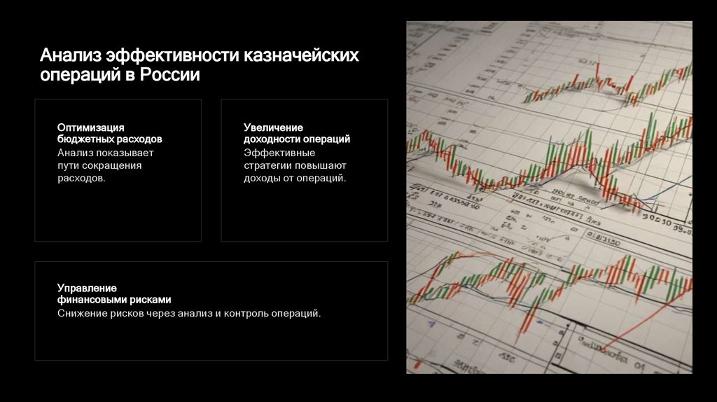 Анализ эффективности казначейских операций в России
