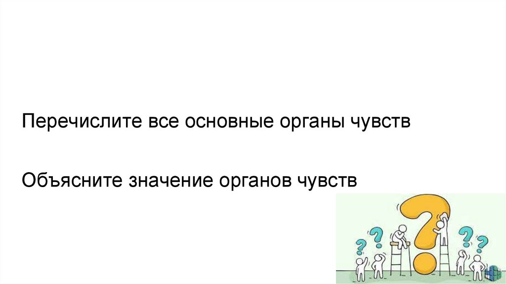 Объясните значение органов чувств