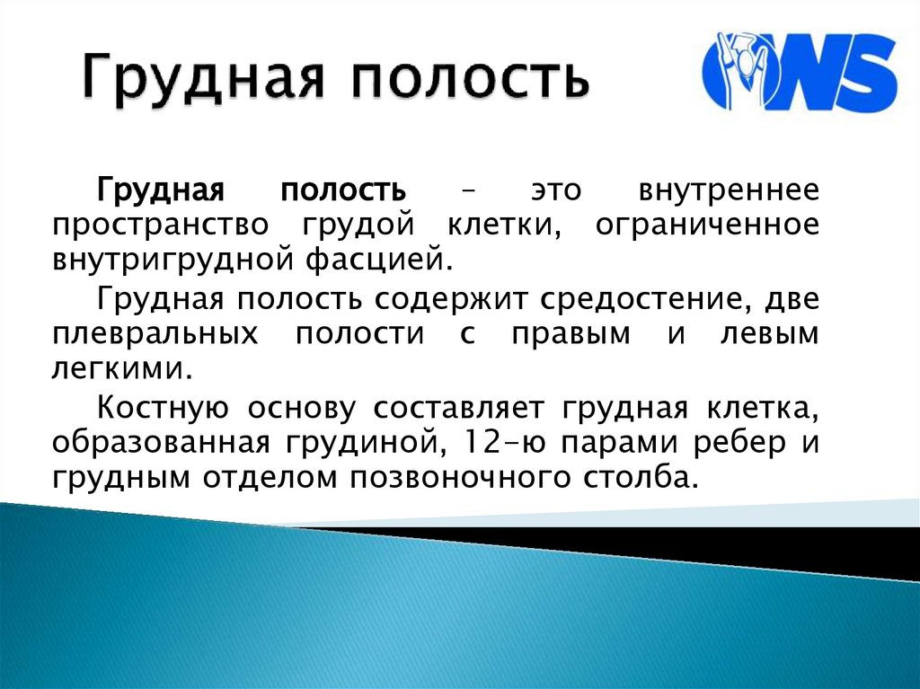 Грудная полость