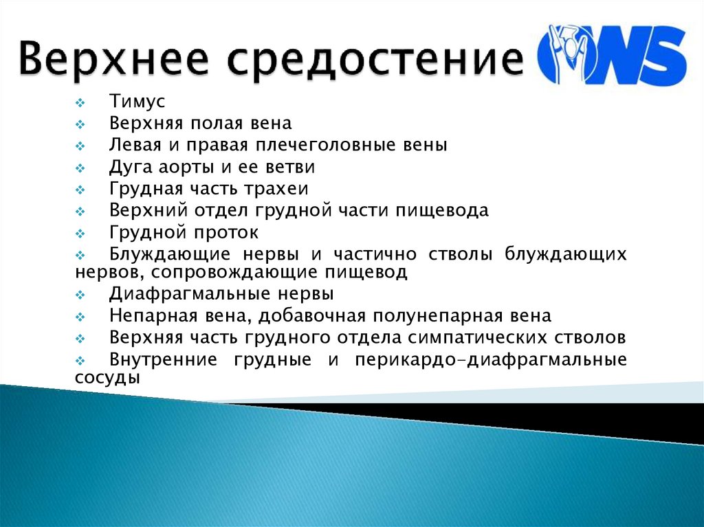 Верхнее средостение