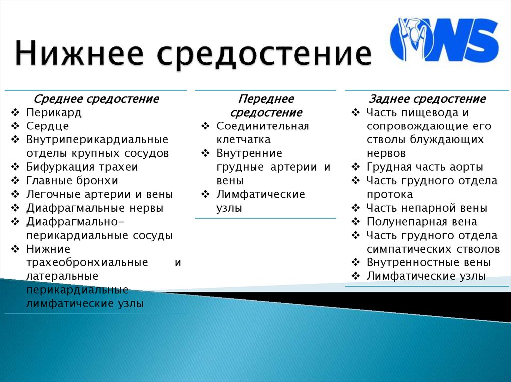 Нижнее средостение