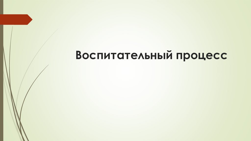 Воспитательный процесс