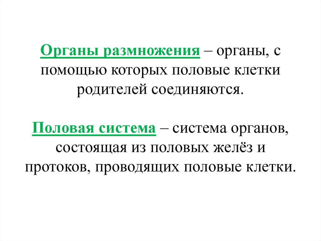 Органы размножения – органы, с помощью которых половые клетки родителей соединяются. Половая система – система органов,