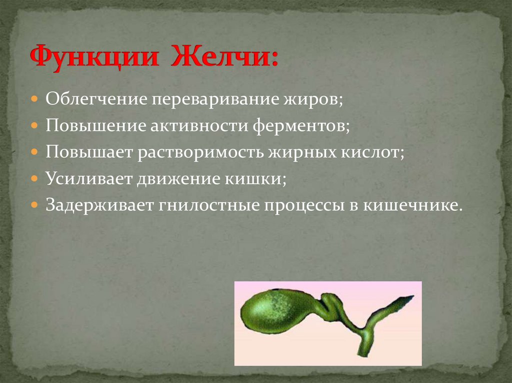 Функции Желчи: