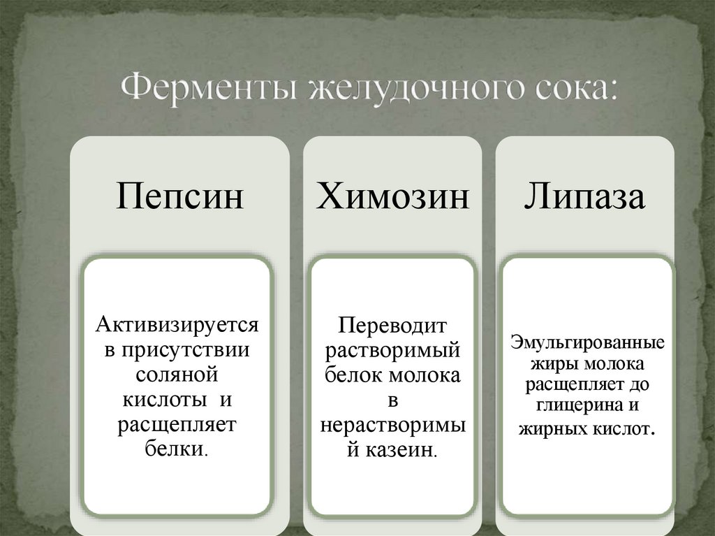 Ферменты желудочного сока: