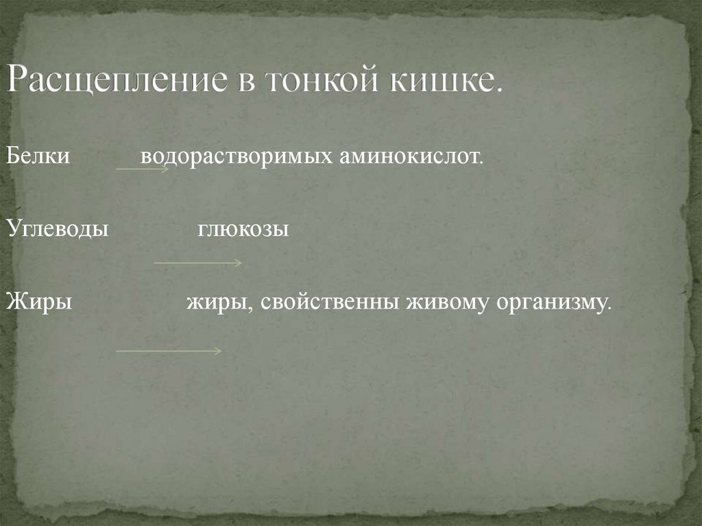 Расщепление в тонкой кишке.