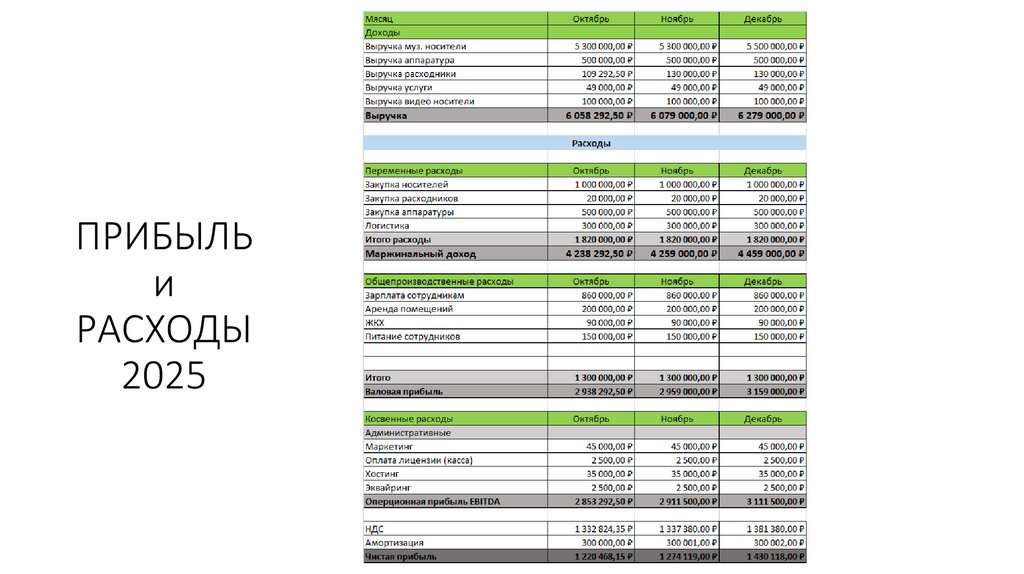 ПРИБЫЛЬ и РАСХОДЫ 2025
