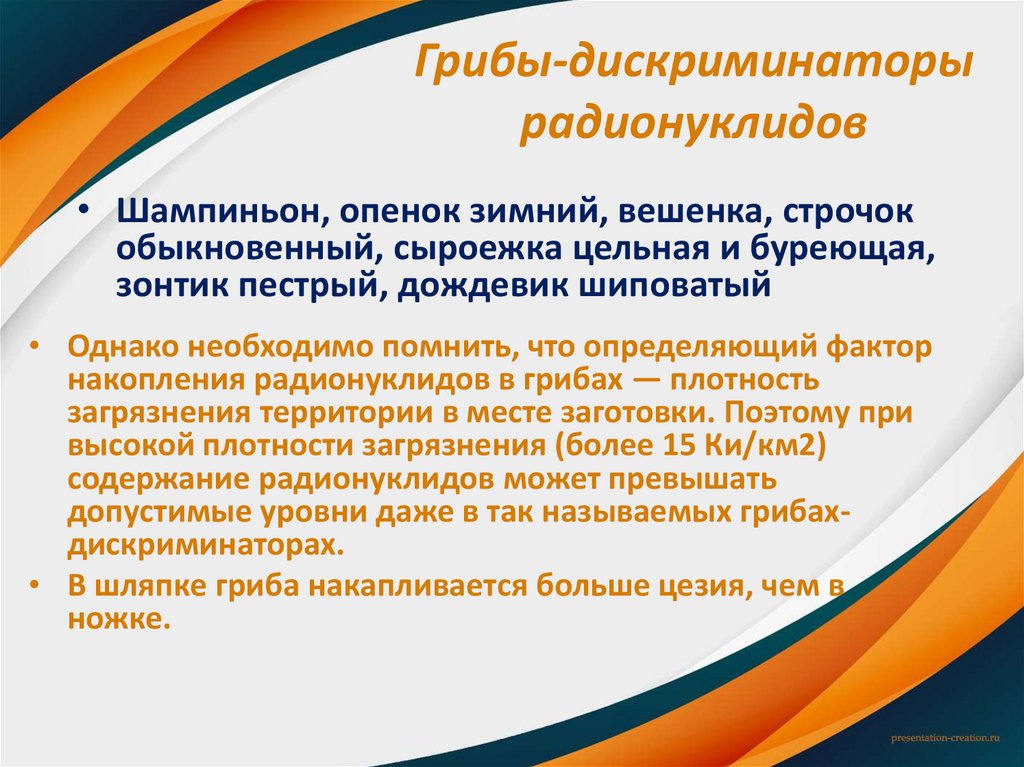 Грибы-дискриминаторы радионуклидов