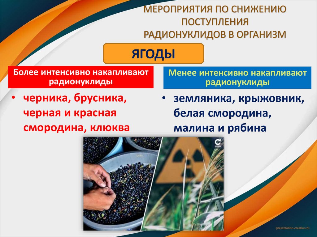МЕРОПРИЯТИЯ ПО СНИЖЕНИЮ ПОСТУПЛЕНИЯ РАДИОНУКЛИДОВ В ОРГАНИЗМ