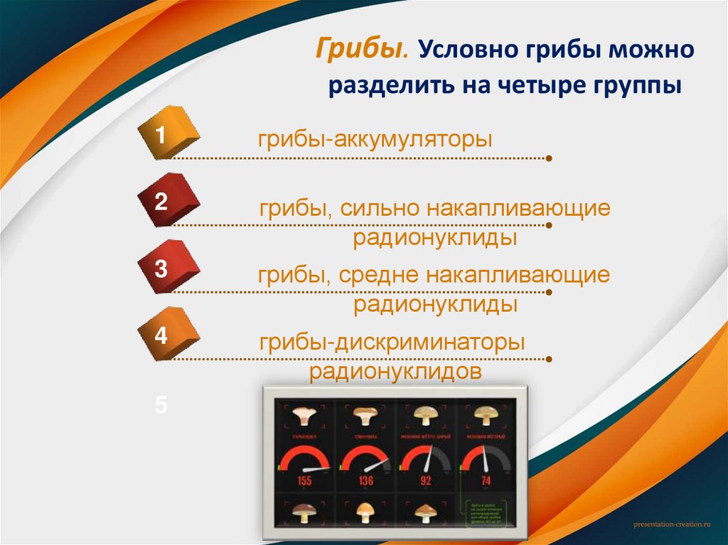 Грибы. Условно грибы можно разделить на четыре группы