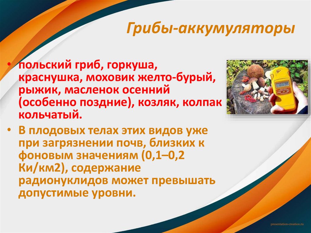 Грибы-аккумуляторы