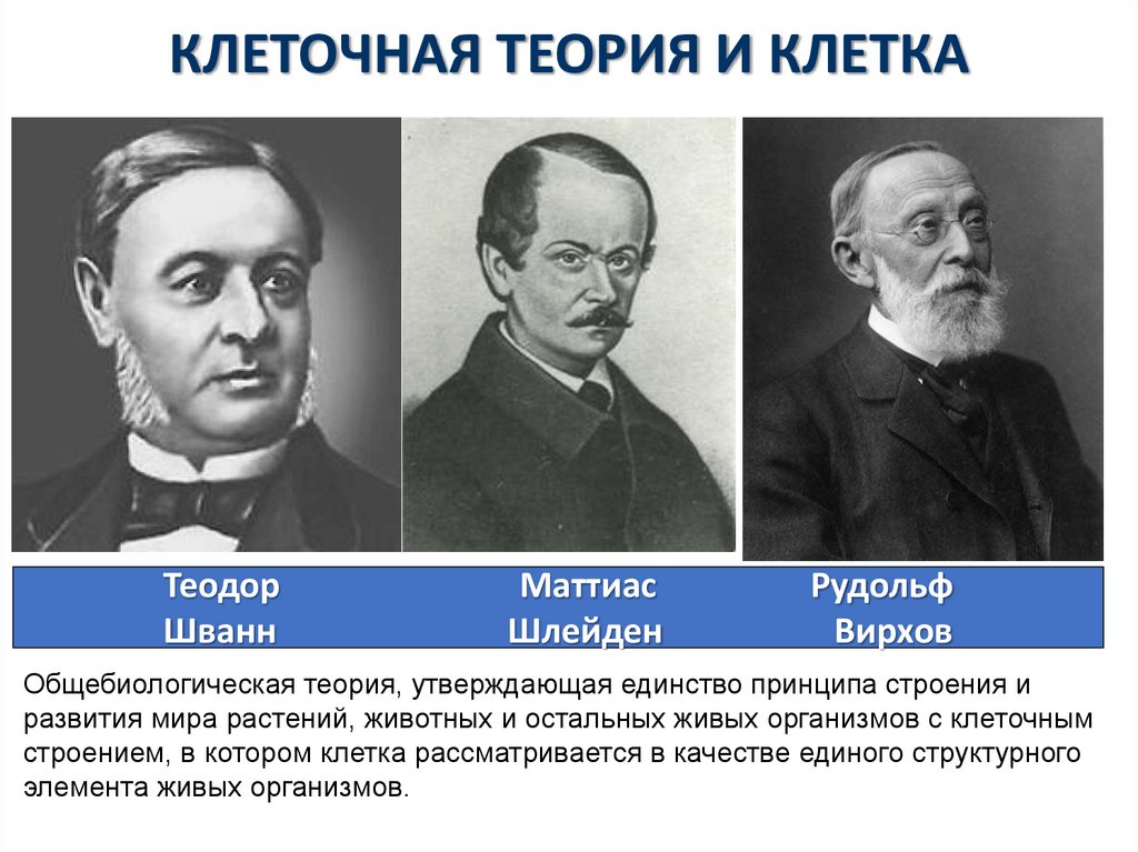 КЛЕТОЧНАЯ ТЕОРИЯ И КЛЕТКА