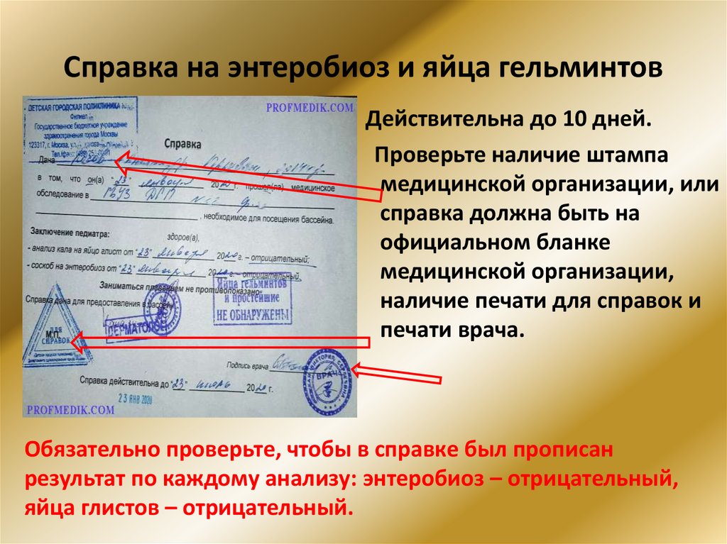 Справка на энтеробиоз и яйца гельминтов