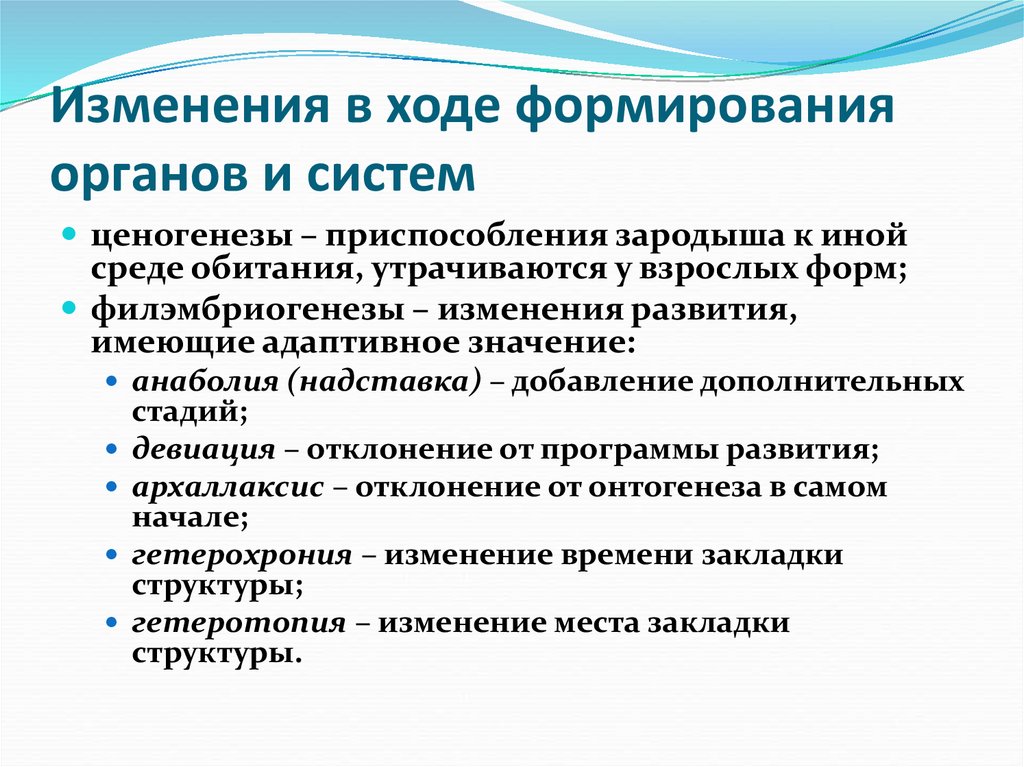 Изменения в ходе формирования органов и систем