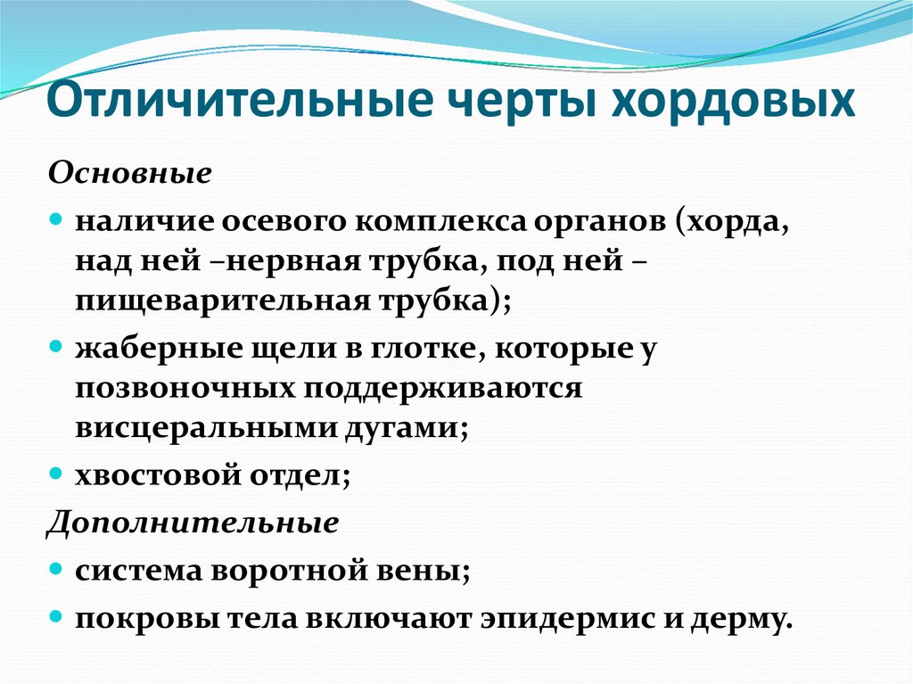 Отличительные черты хордовых