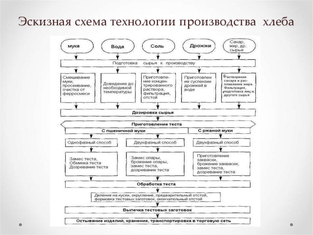 Эскизная схема технологии производства хлеба