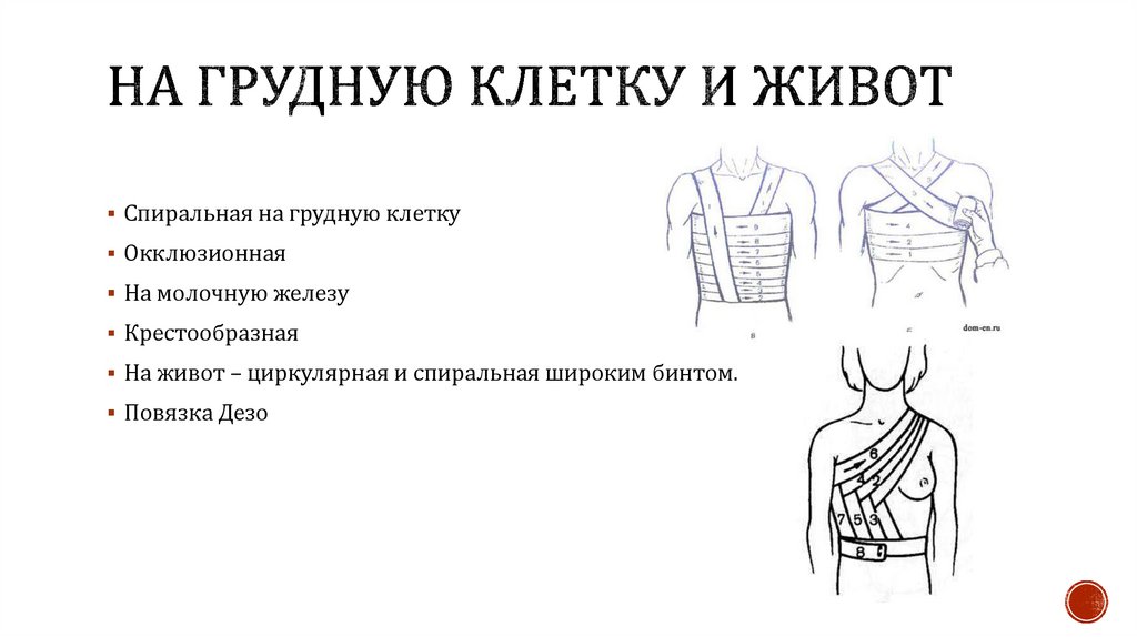 На грудную клетку и живот