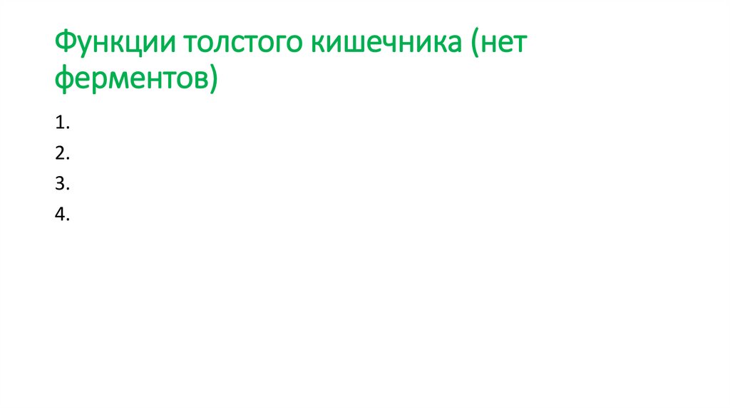 Функции толстого кишечника (нет ферментов)