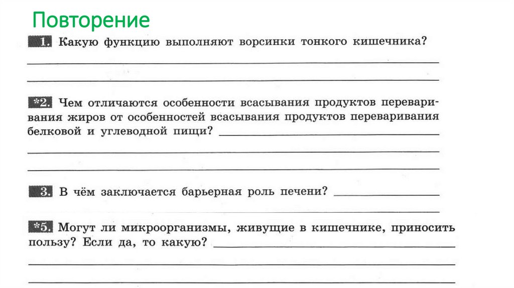 Повторение