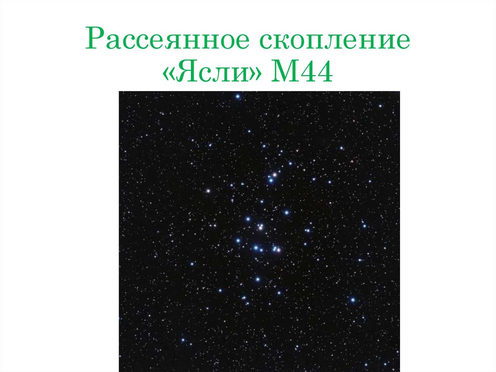 Рассеянное скопление «Ясли» M44