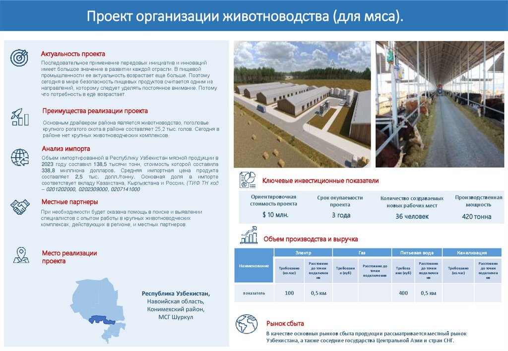 Проект организации животноводства (для мяса).
