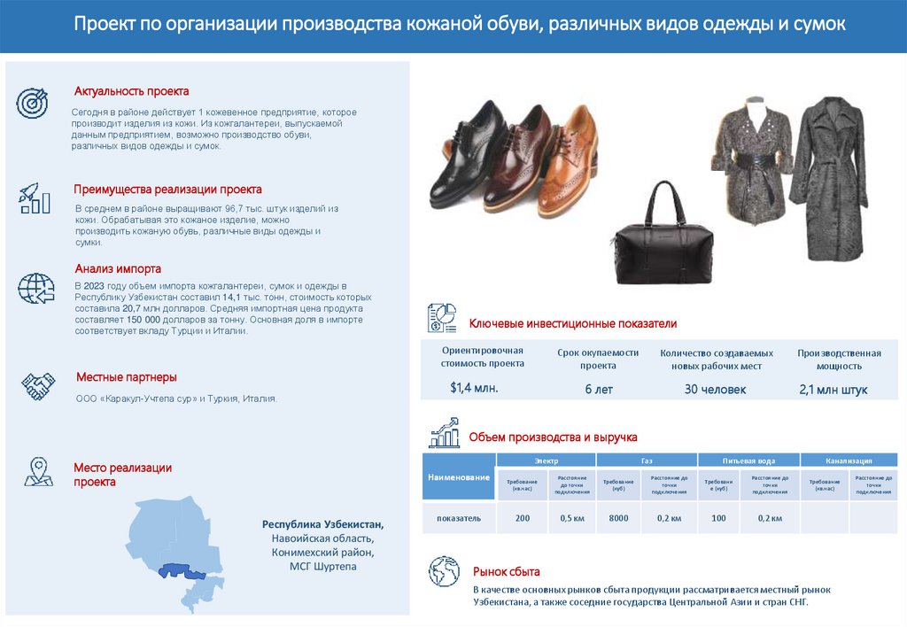 Проект по организации производства кожаной обуви, различных видов одежды и сумок