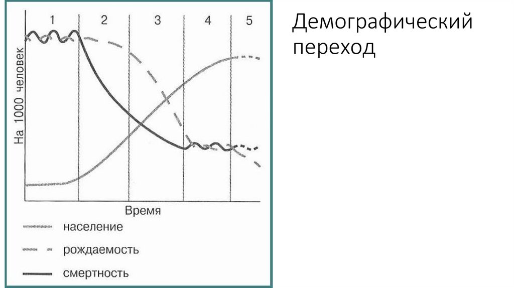 Демографический переход