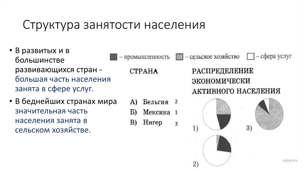Структура занятости населения