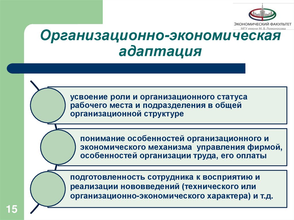 Организационно-экономическая адаптация