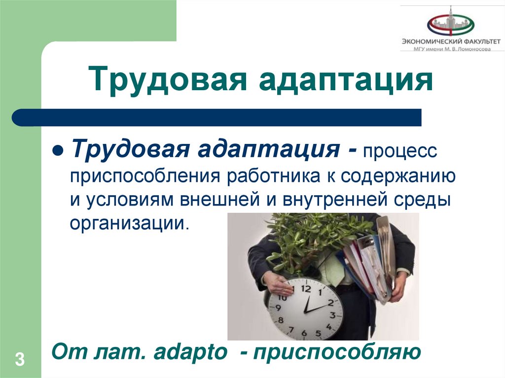 Трудовая адаптация