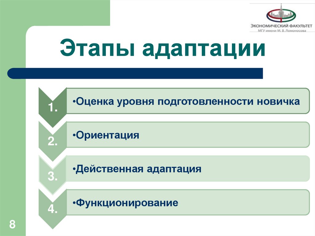 Этапы адаптации