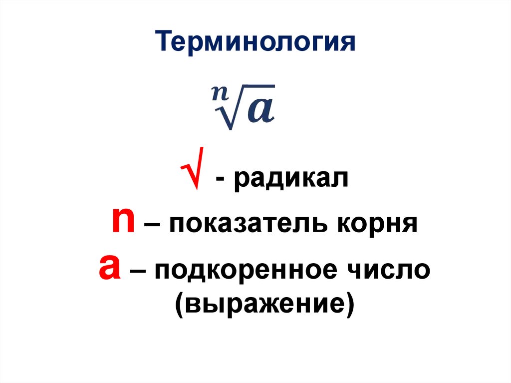 Терминология