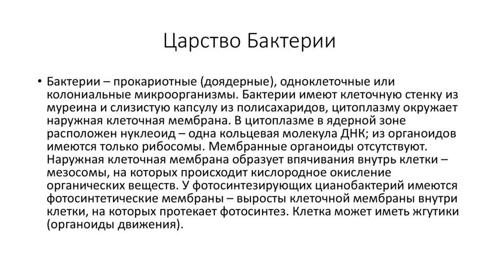 Царство Бактерии