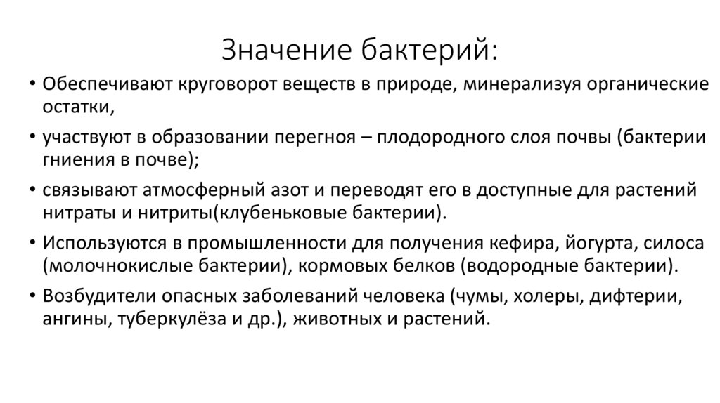 Значение бактерий: