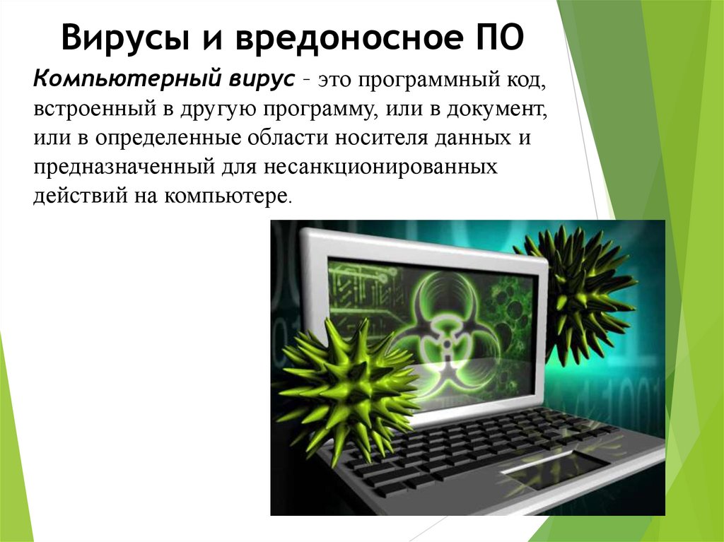 Вирусы и вредоносное ПО