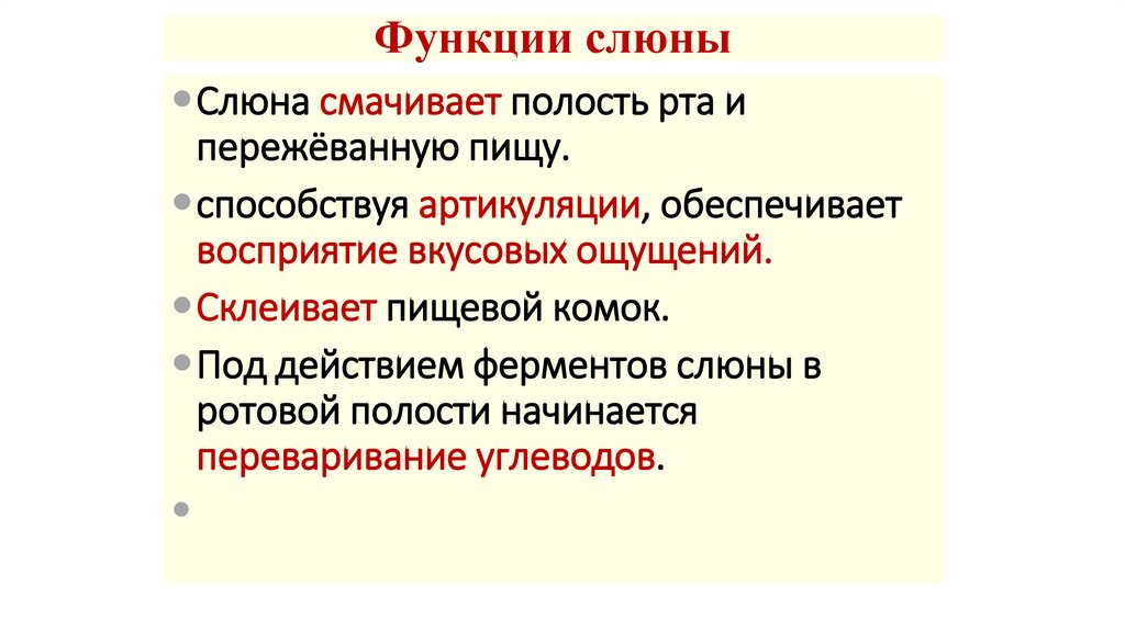 Функции слюны