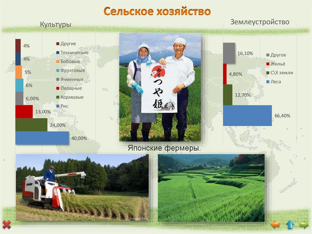 本田技研工業株式会社 (Хонда) (Основано в 1948 году)