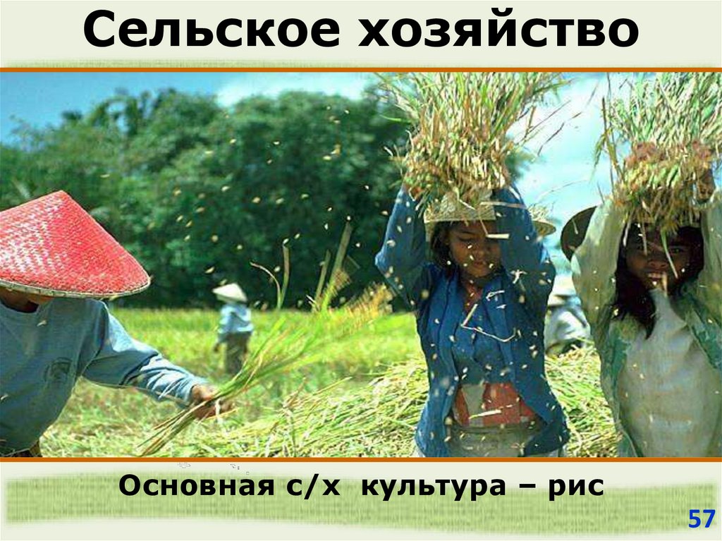 トヨタ自動車株式会社 (Тойота) (Основано в 1937 году)