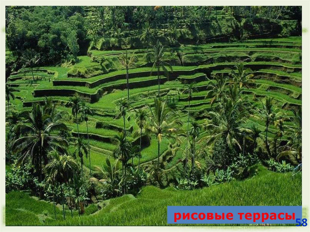 Ниссан (Основано в 1933 году)