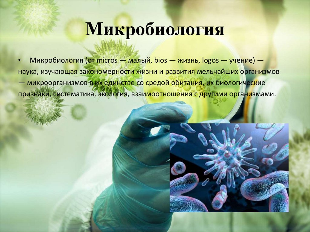 Микробиология