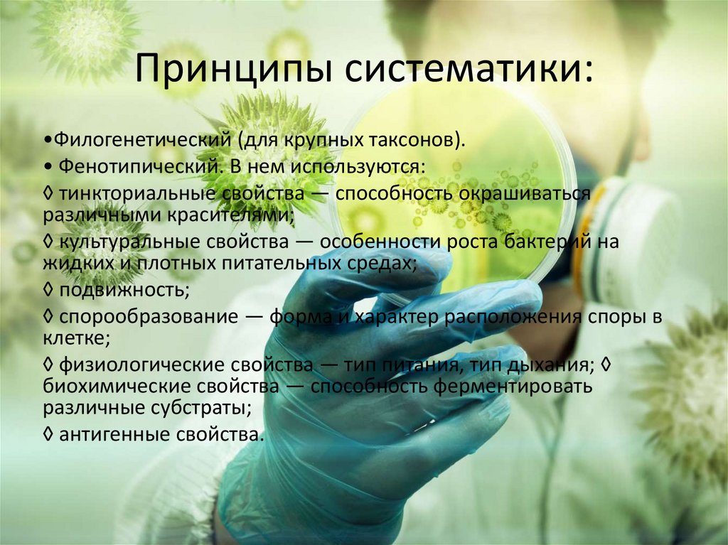 Принципы систематики: