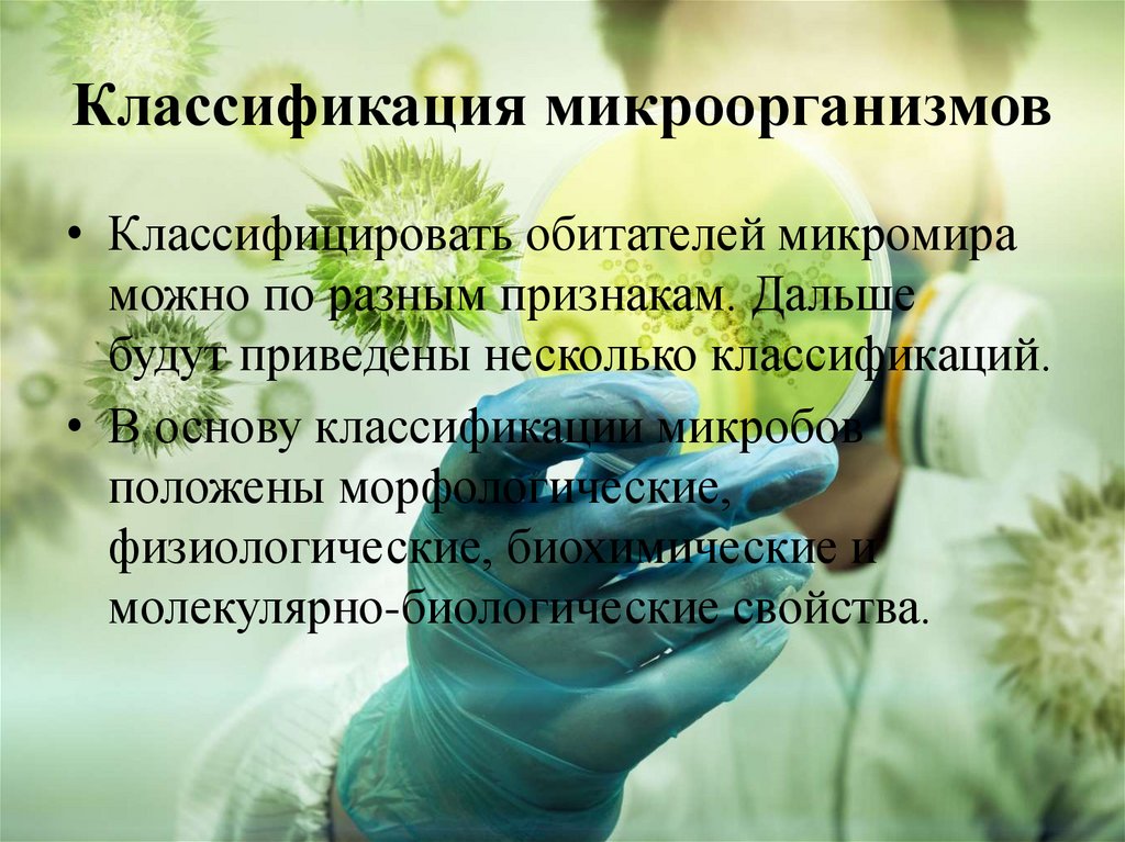 Классификация микроорганизмов