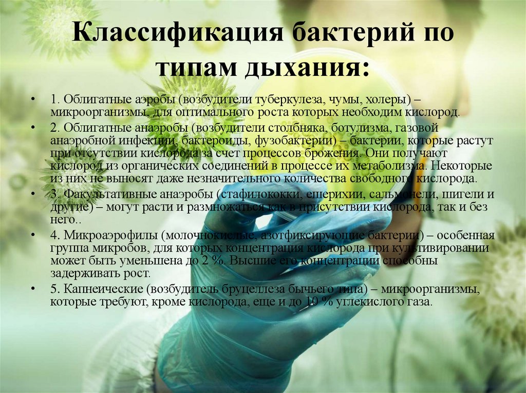 Классификация бактерий по типам дыхания: