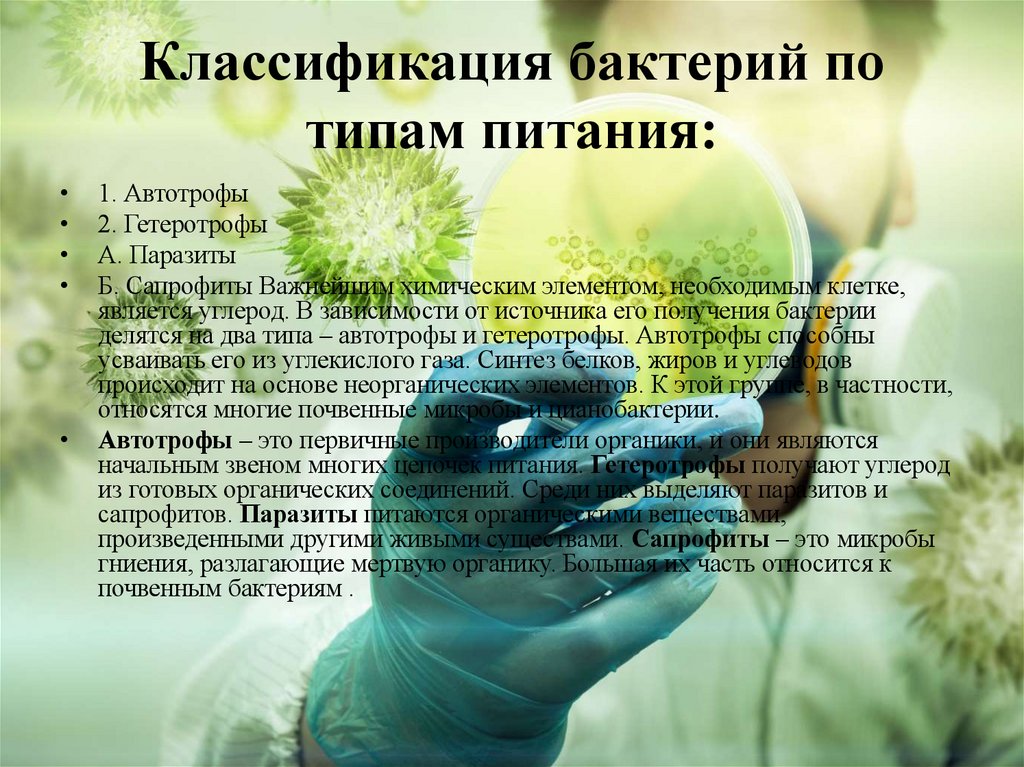 Классификация бактерий по типам питания: