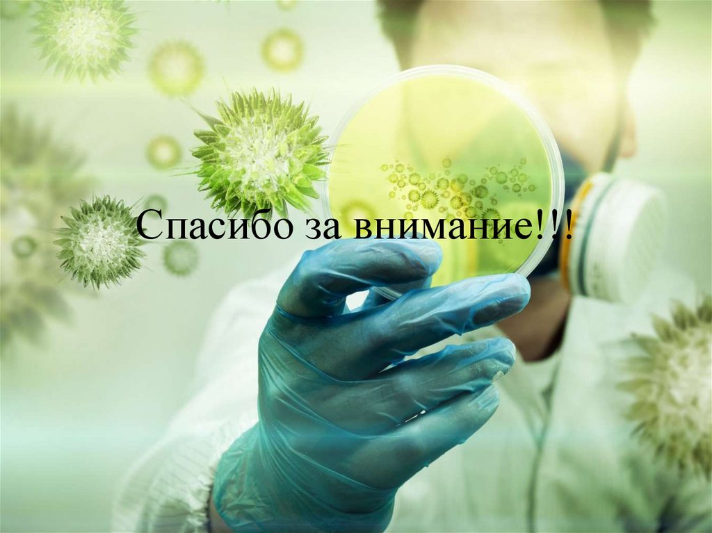 Спасибо за внимание!!!